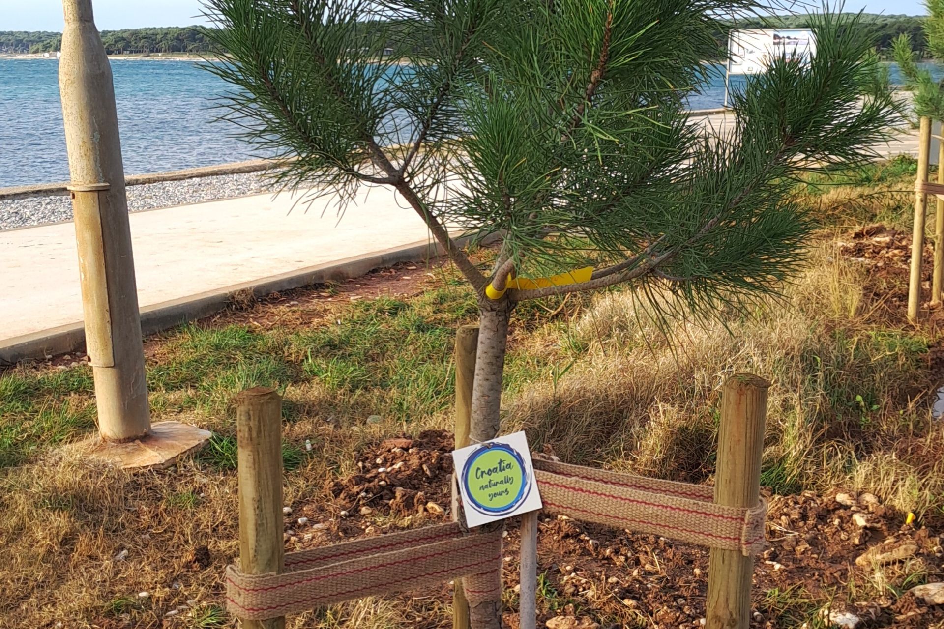 Nova stabla u Medulinu i Banjolama u sklopu projekta „Hrvatska prirodno tvoja – Croatia naturally yours“